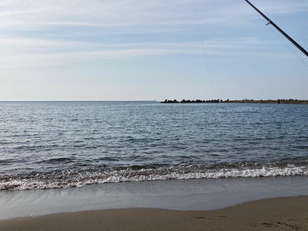 今年初のキス釣り🎣
