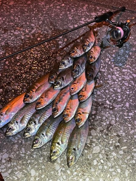 前回と同じ場所で