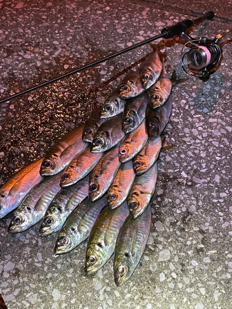 前回と同じ場所で