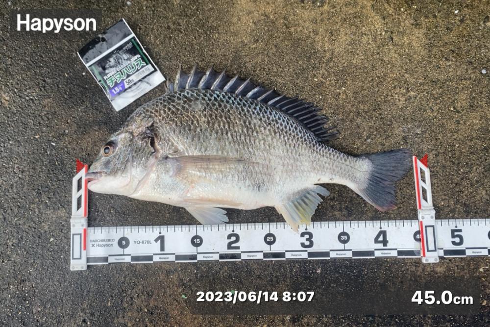 少し雨が降る中からスタート