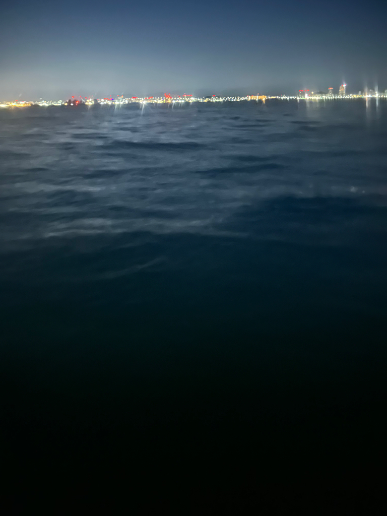 前回とは打って変わって…