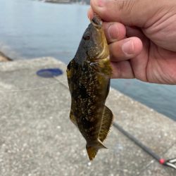 ちょい投げライトキスゲーム③