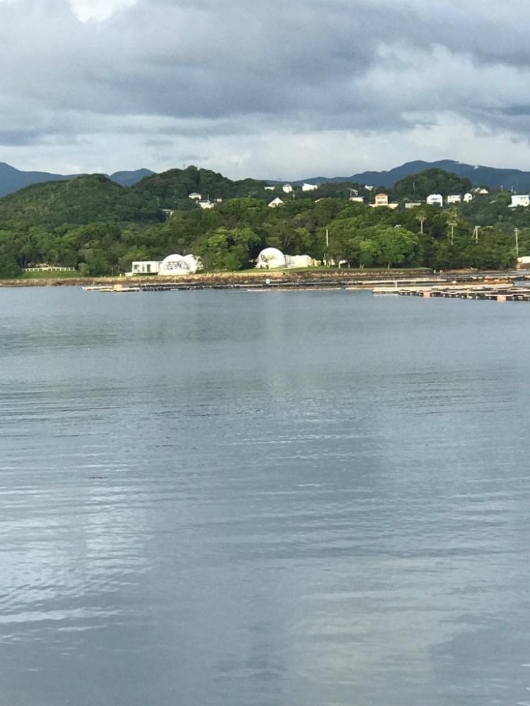いろんな魚が釣れます♪