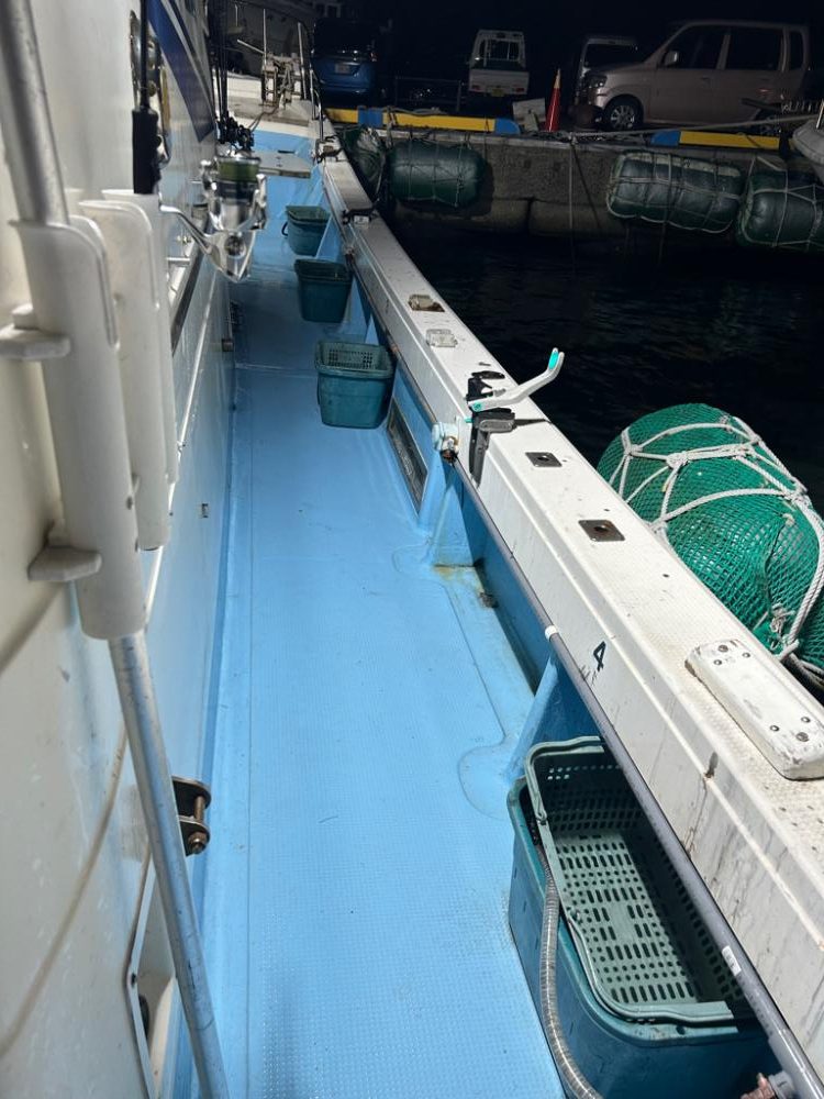 ケンサキイカ！