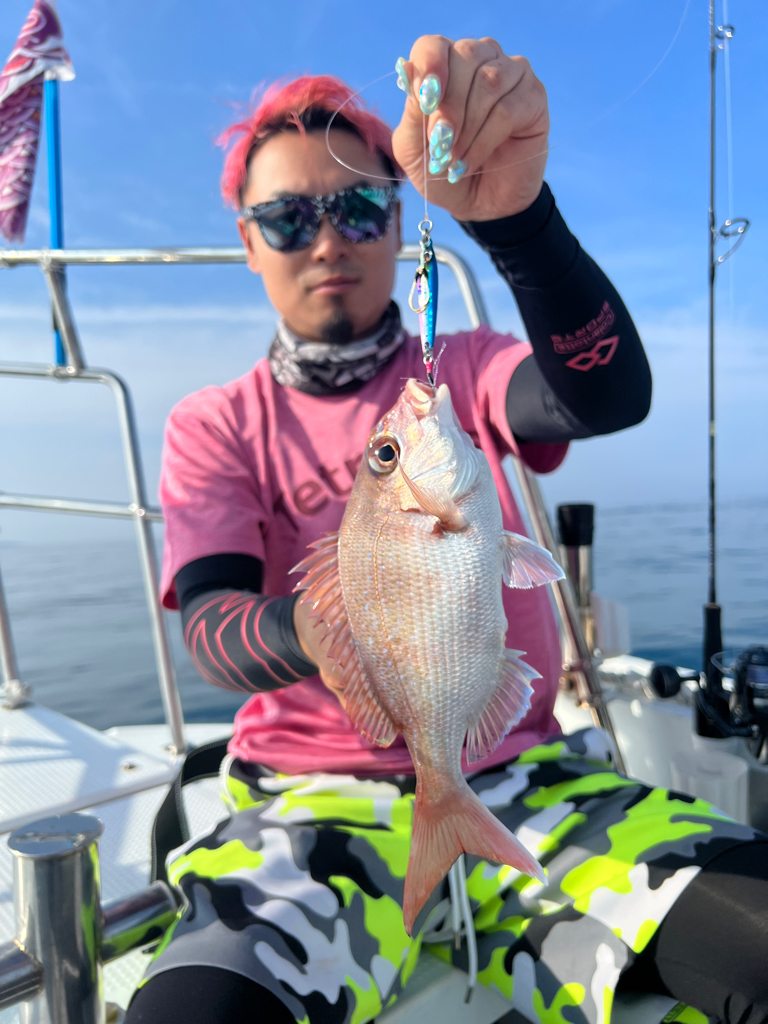 今が旬のSLJでイサキ