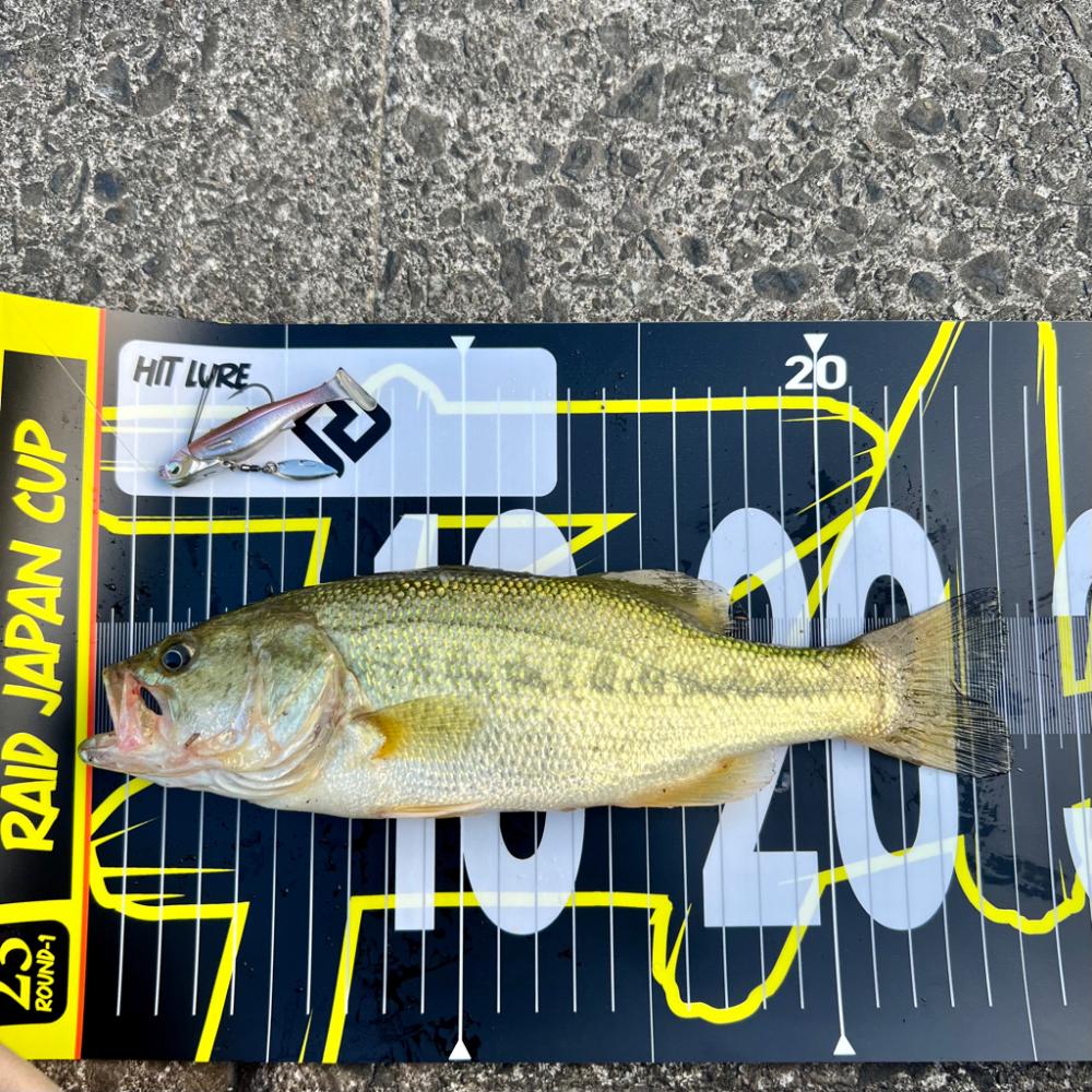 可愛いサイズ❤️