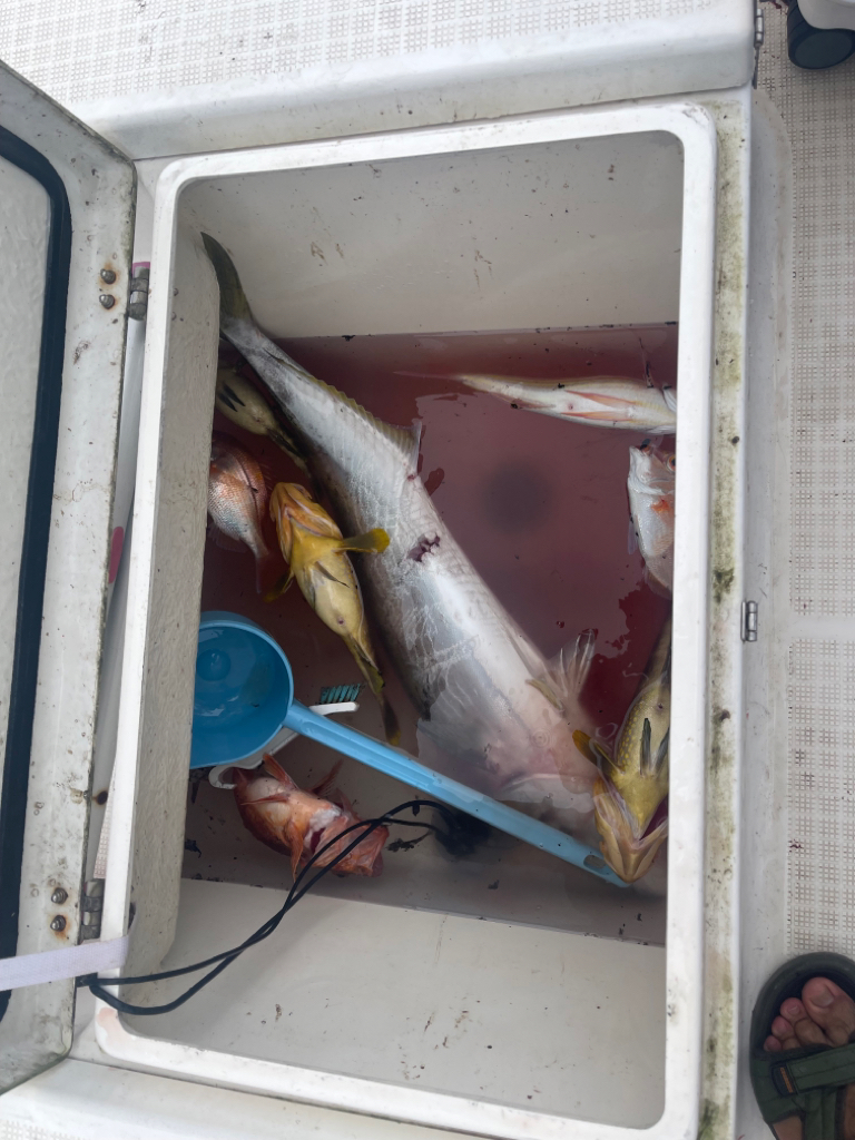 雨のマイボート釣行