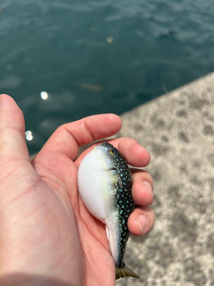 スーパーライトゲーム笑