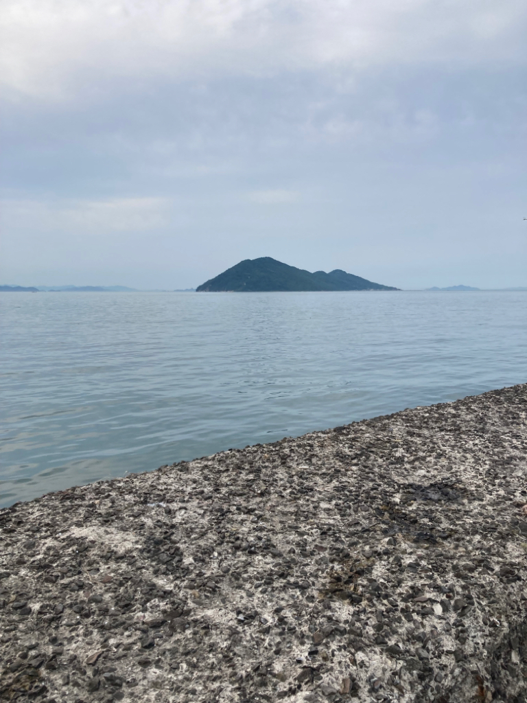 ようやくタコエギでタコが釣れた。