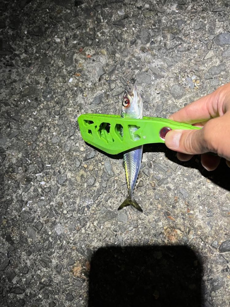 サバゲー開幕とは言い難い。