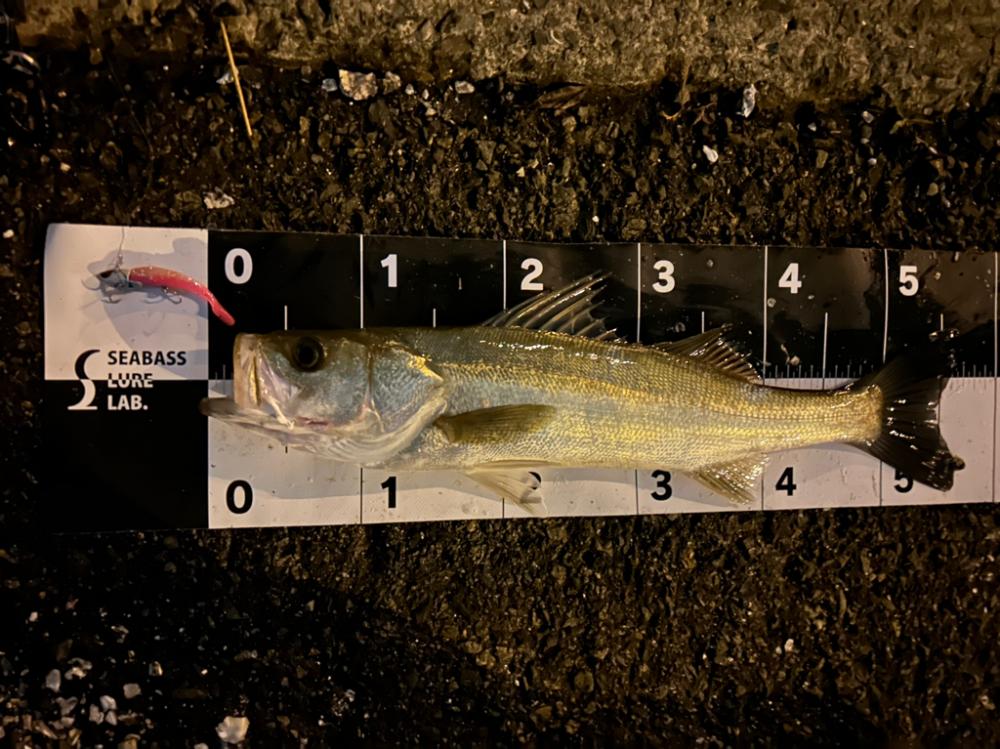 またまたやっちゃいました！！