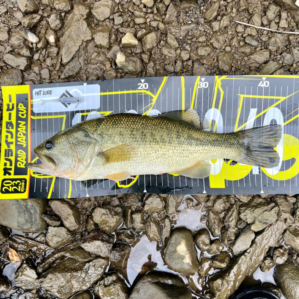 岩盤エリアでの一本🔥