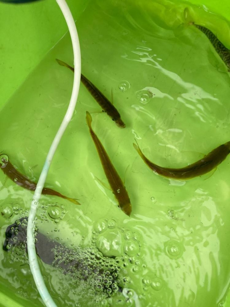 子供とボート釣り