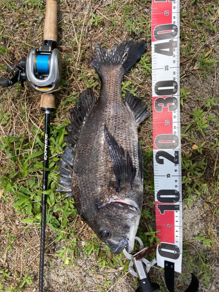 なんちゃってベイトチニング