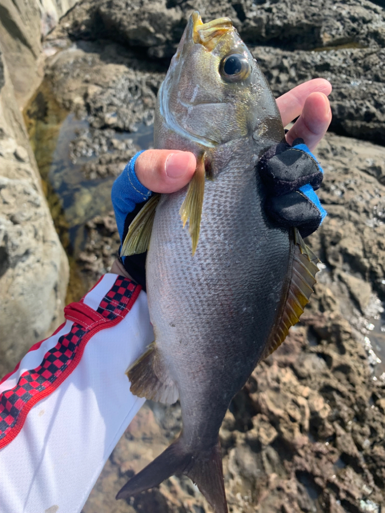 梅雨の晴れ間に…