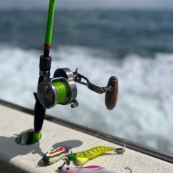 墨族モニター　初釣行🐙