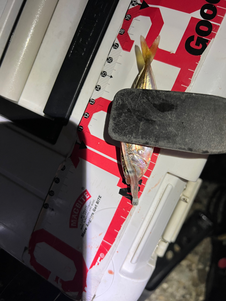 アジングランガン