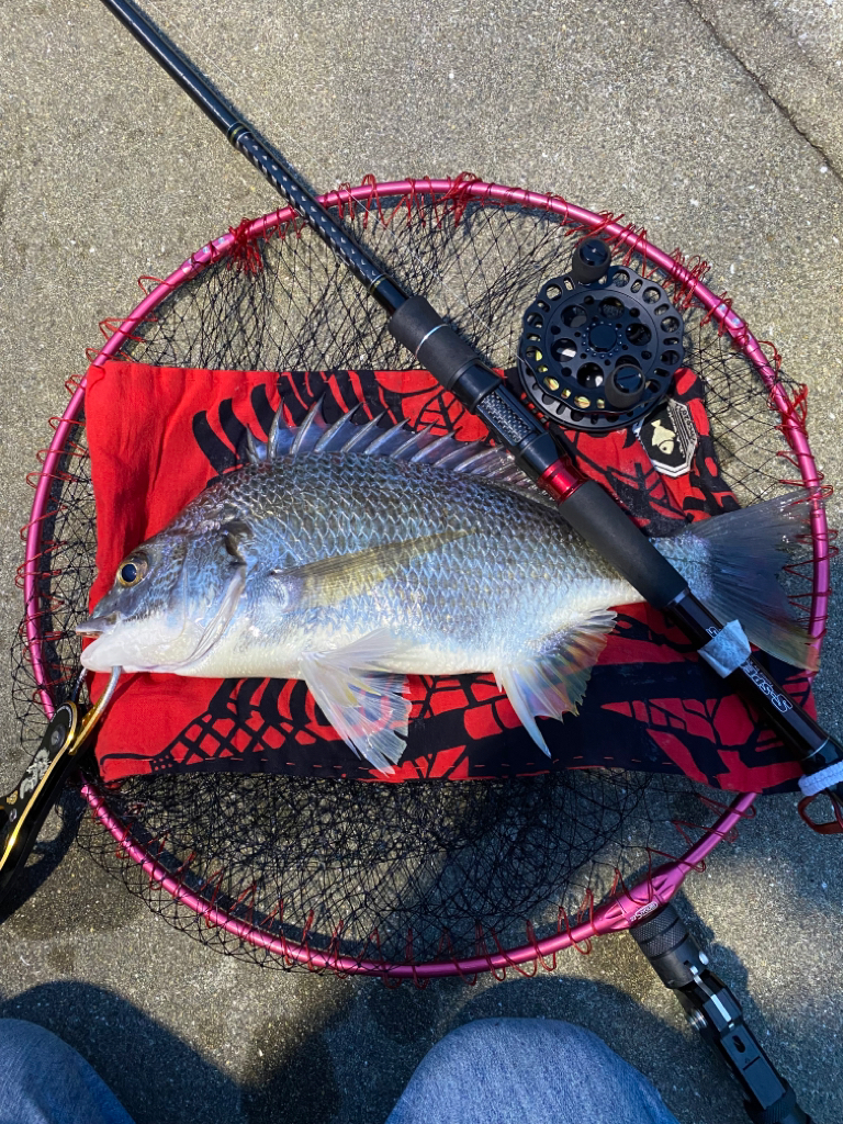 ヘチってきました