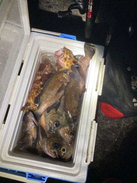 ボートメバリング