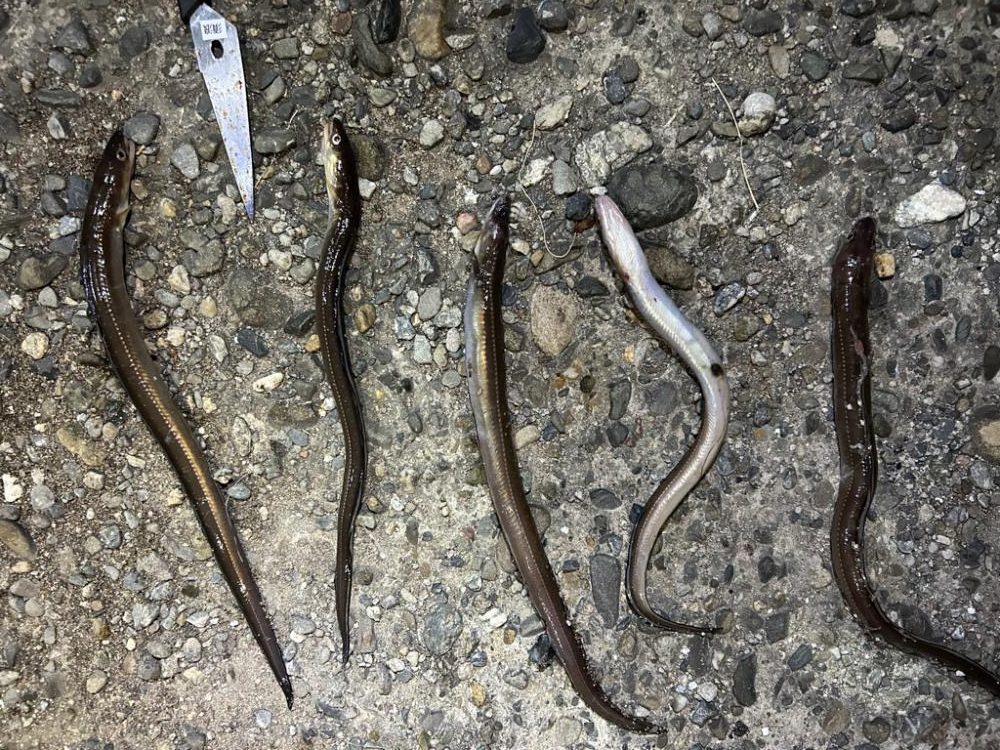 オクトパッシング+チョイ投げ