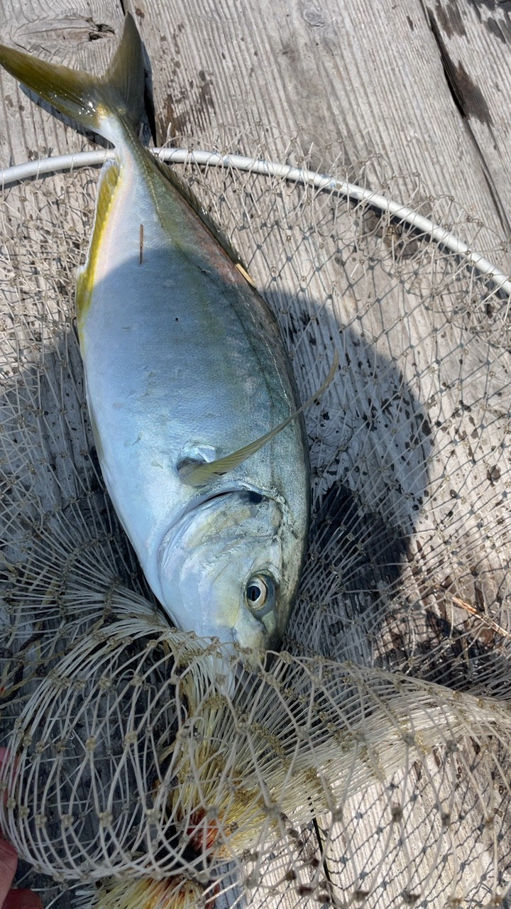 自作練りエサで釣れた!
