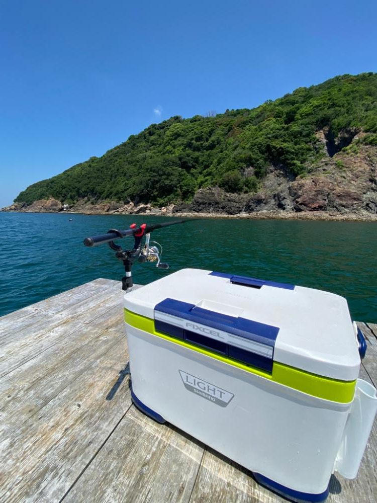 筏でアオリイカキロアップ