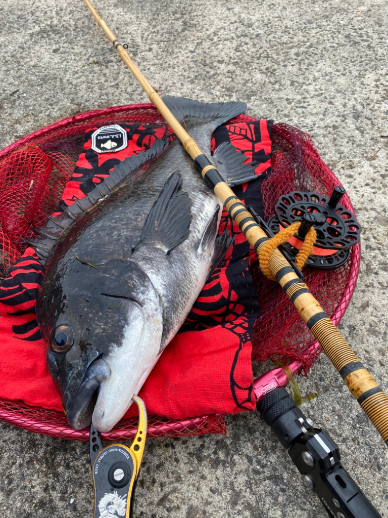 ヘチってきました