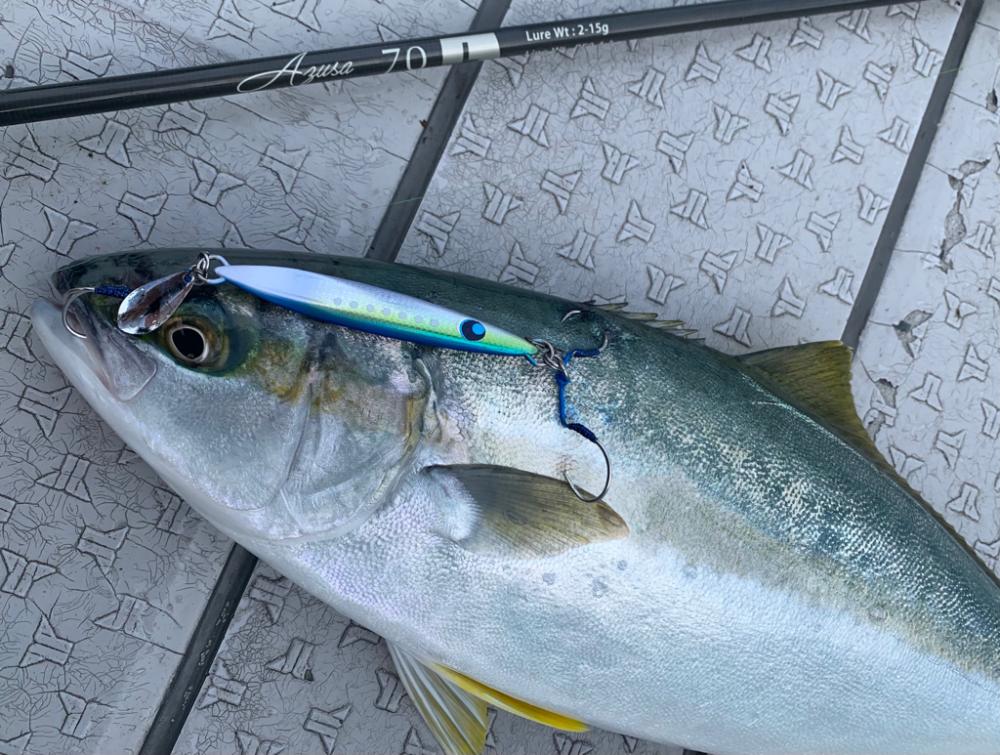 遊漁船 OceanDreamer でSLJ!!