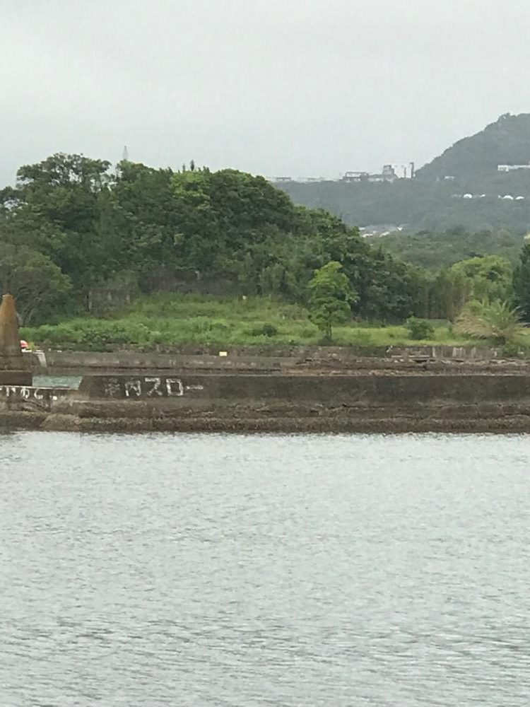 タカノハダイの日