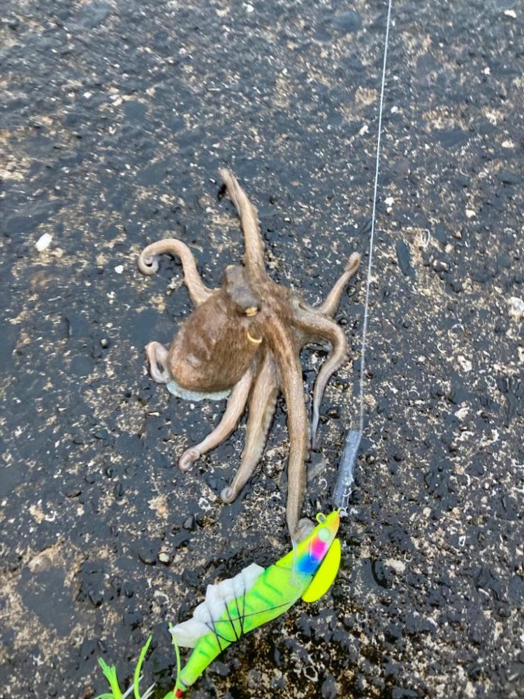 ⭐︎心地よいかをり