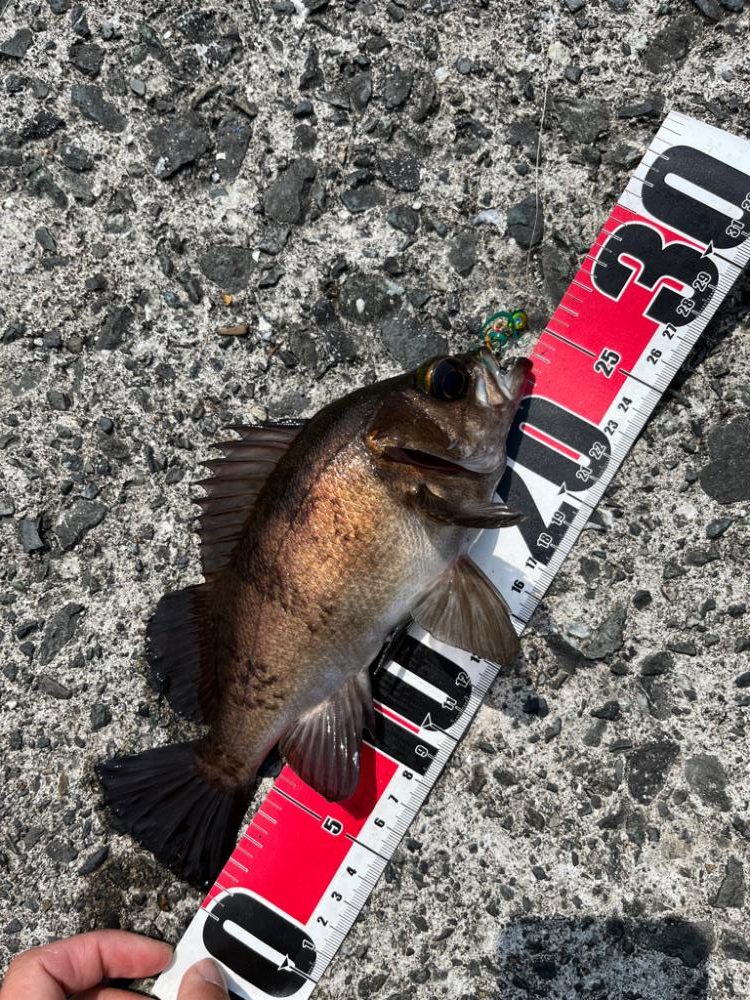 ライトゲーム新規開拓