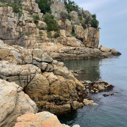 瀬戸内ROCKショア