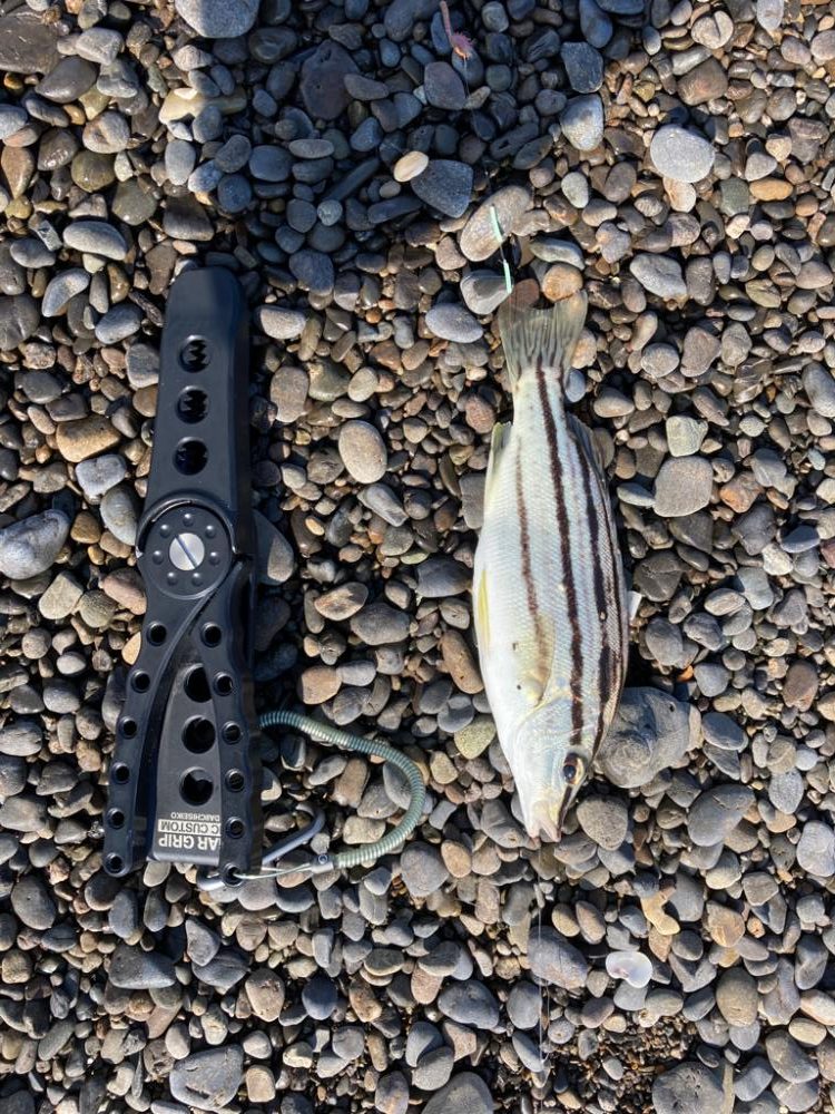 みなべ海岸　ちょい投げ