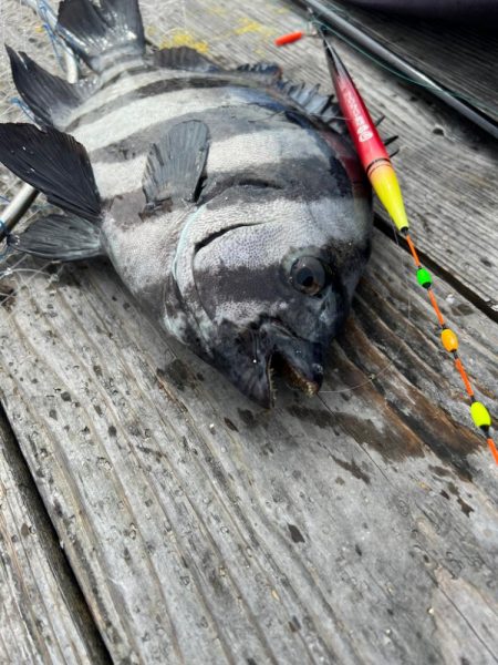 釣堀紀州さんに行ってきました！