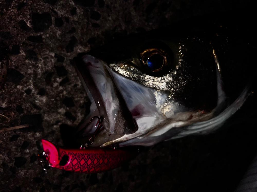 完璧なバイト!!