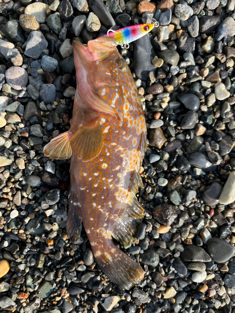 信じるか信じないかは、あなたしだい