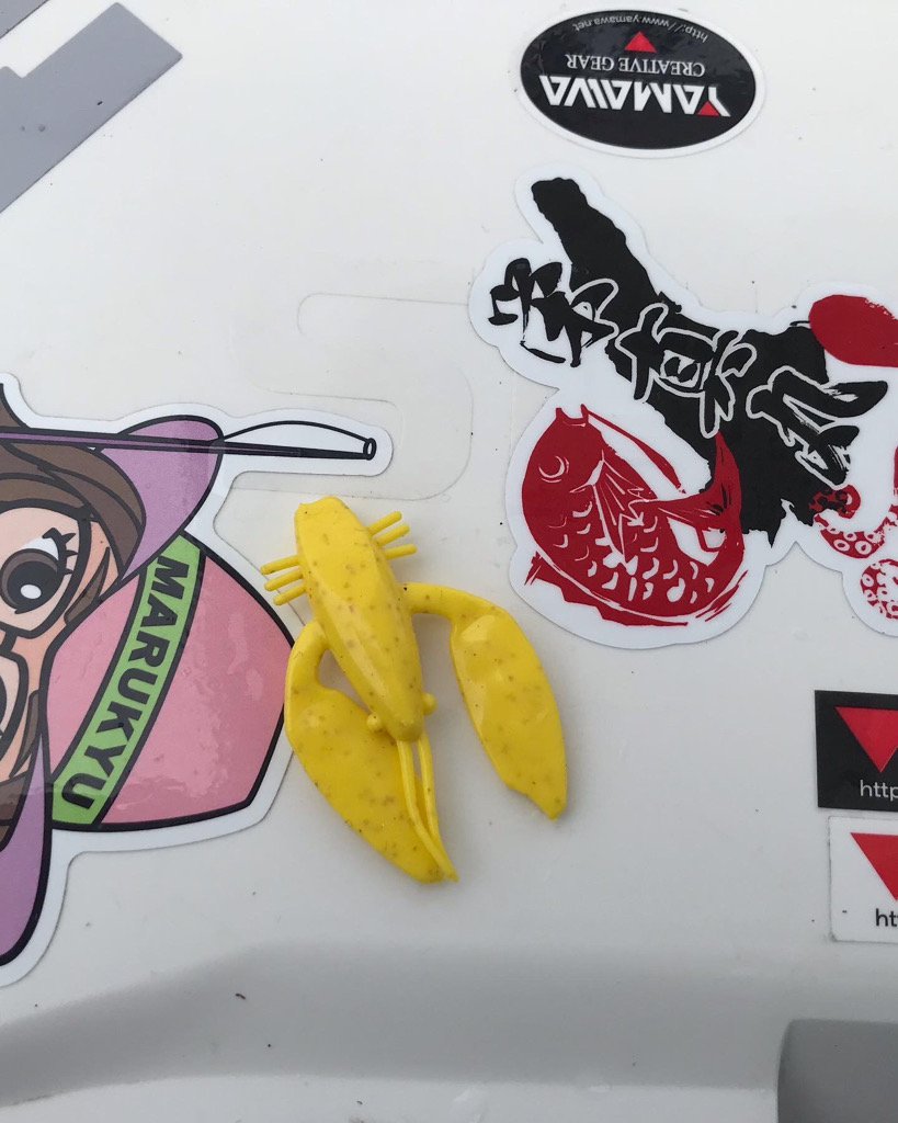 淡路室津のタコ釣り