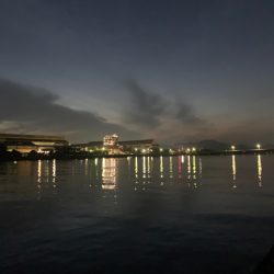 ２ヶ月ぶりのシーバスちゃん