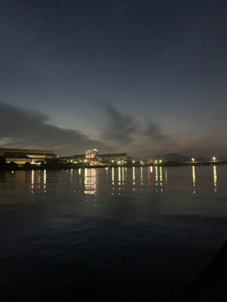 ２ヶ月ぶりのシーバスちゃん