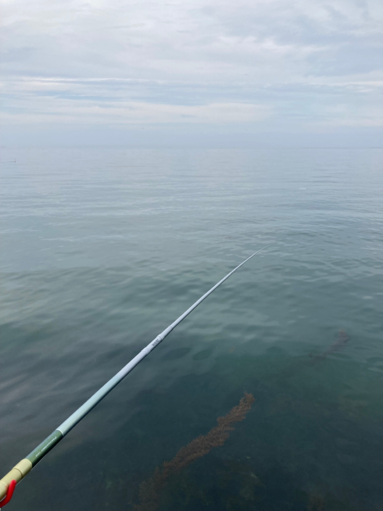 ヤエンシーズン終了?