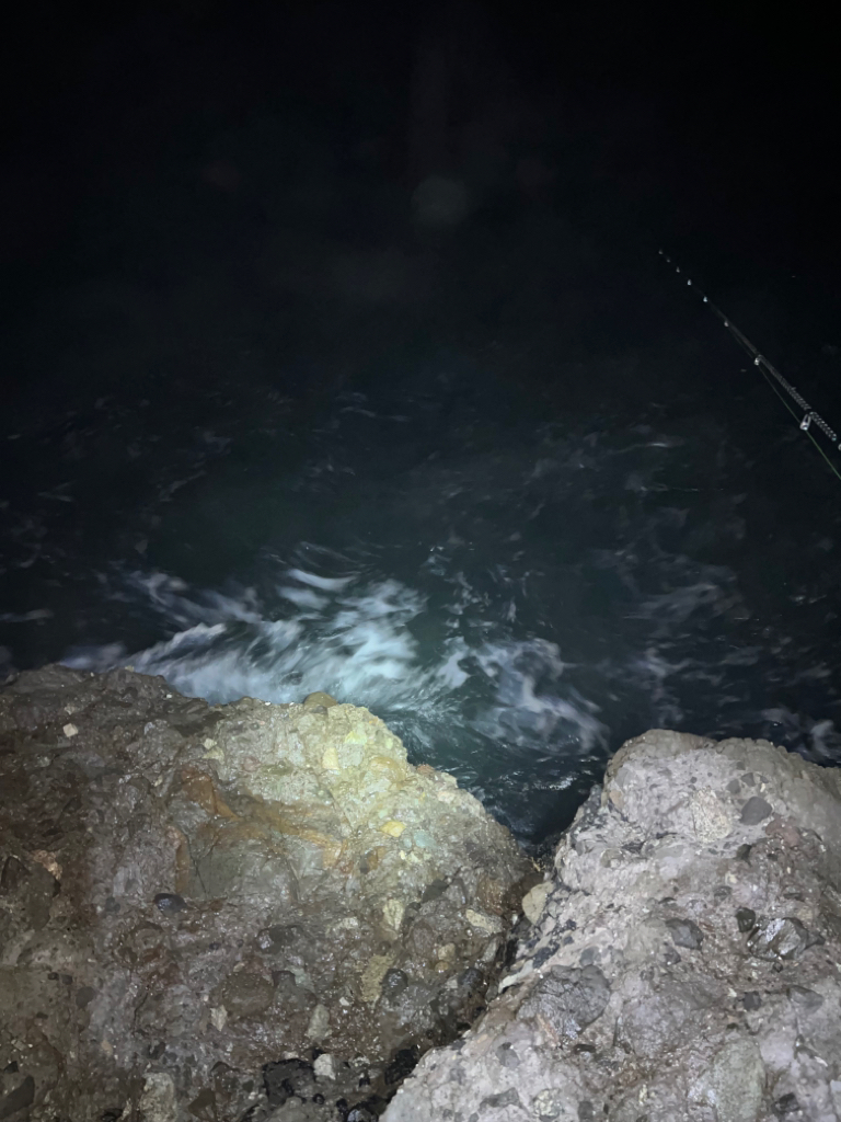 ナイトエギング