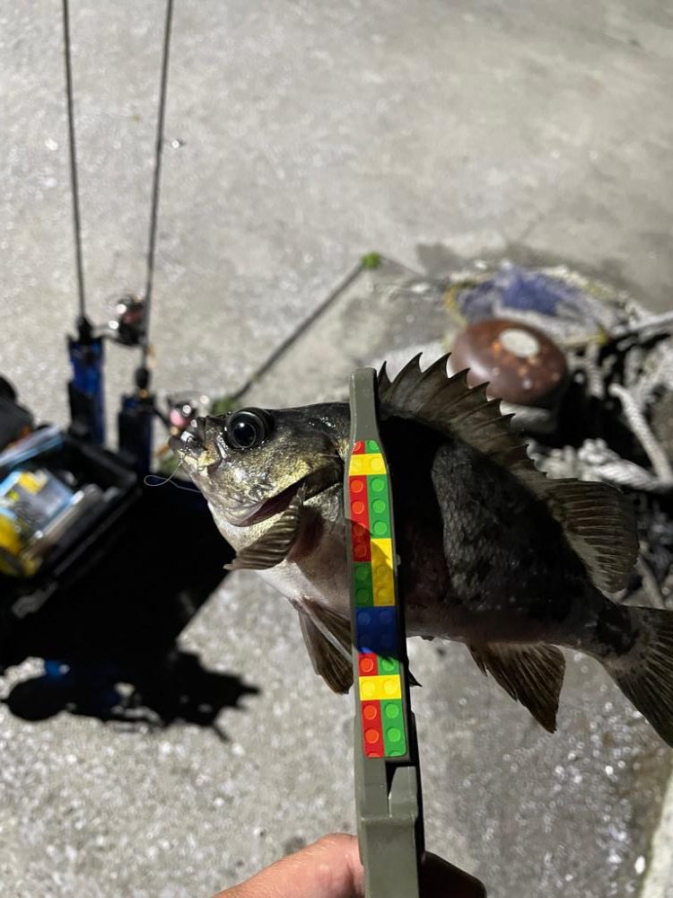 ちょい渋でした