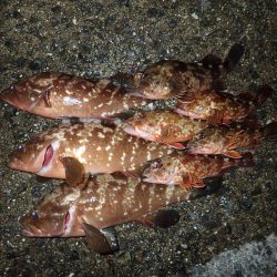 フリーリグでウィード攻略。