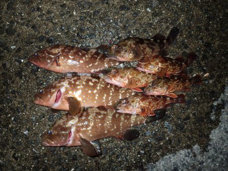 フリーリグでウィード攻略。