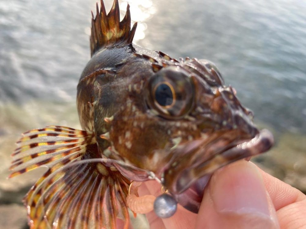 雨上がり調査に!
