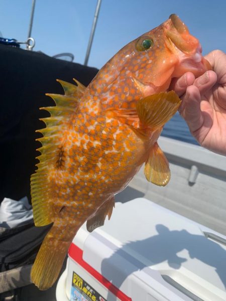 やっぱりSLJおもろい〜