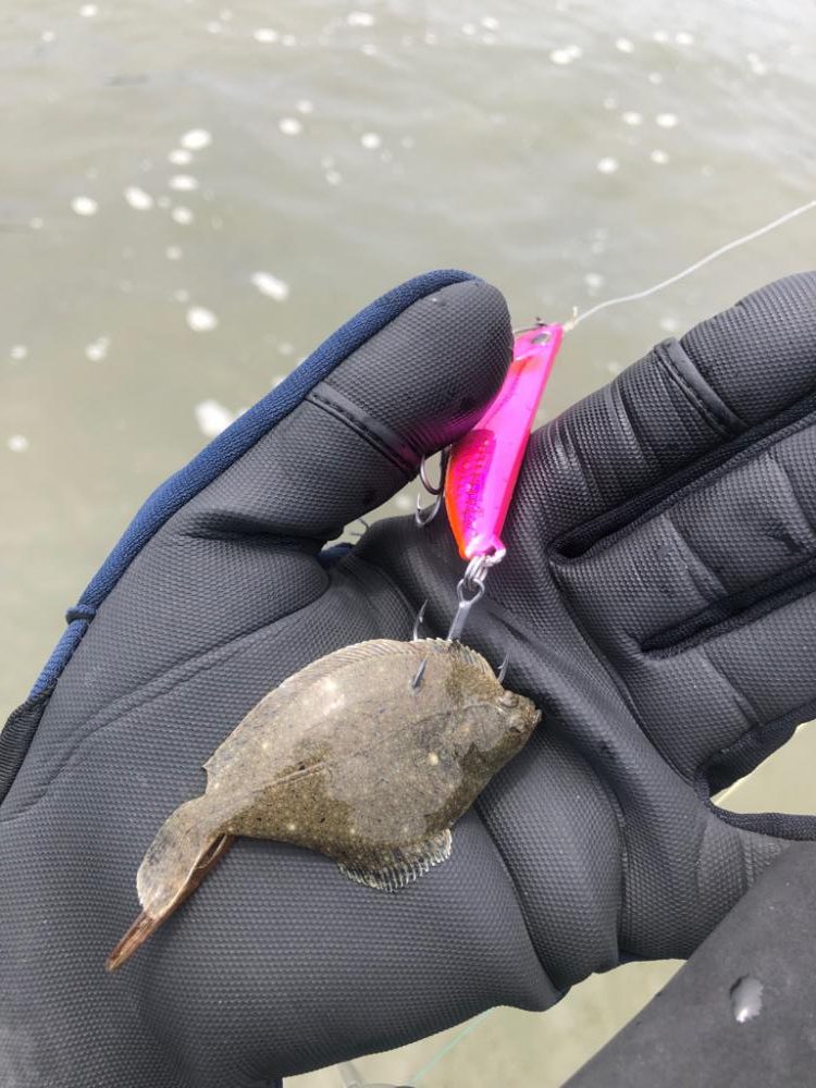 初50オーバーマゴチ！