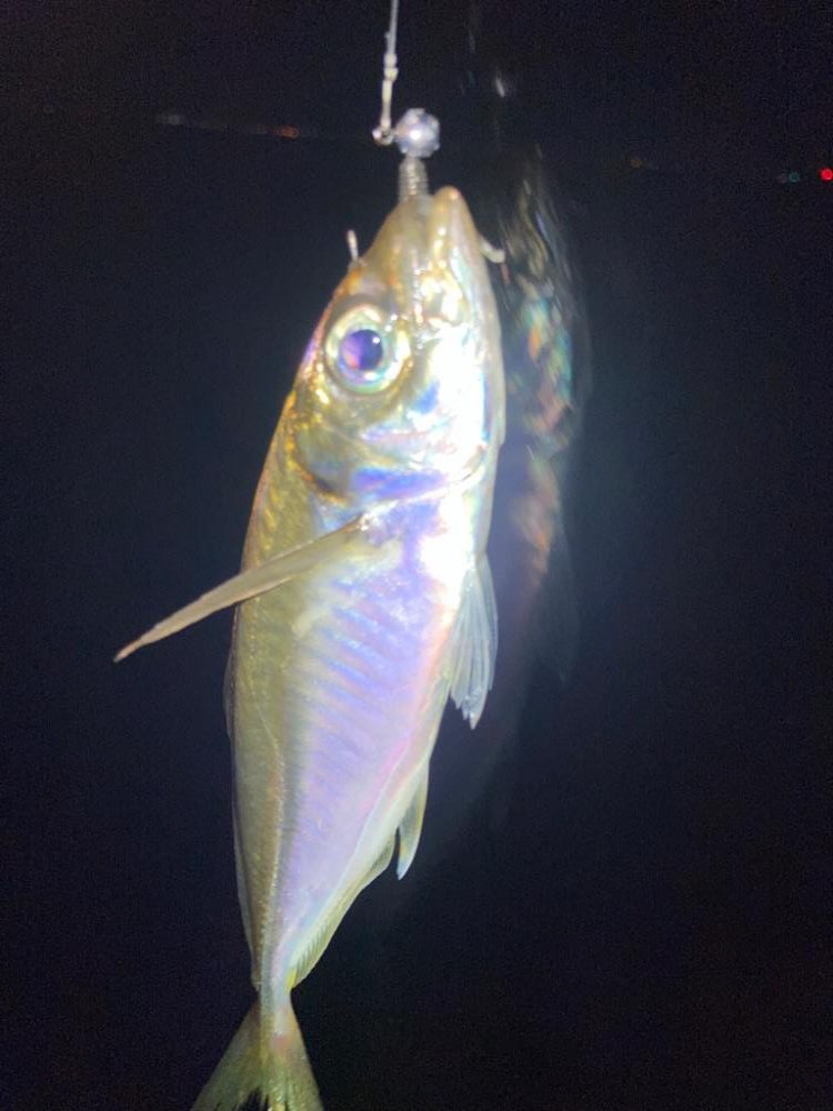 2023ライトゲーム第21戦