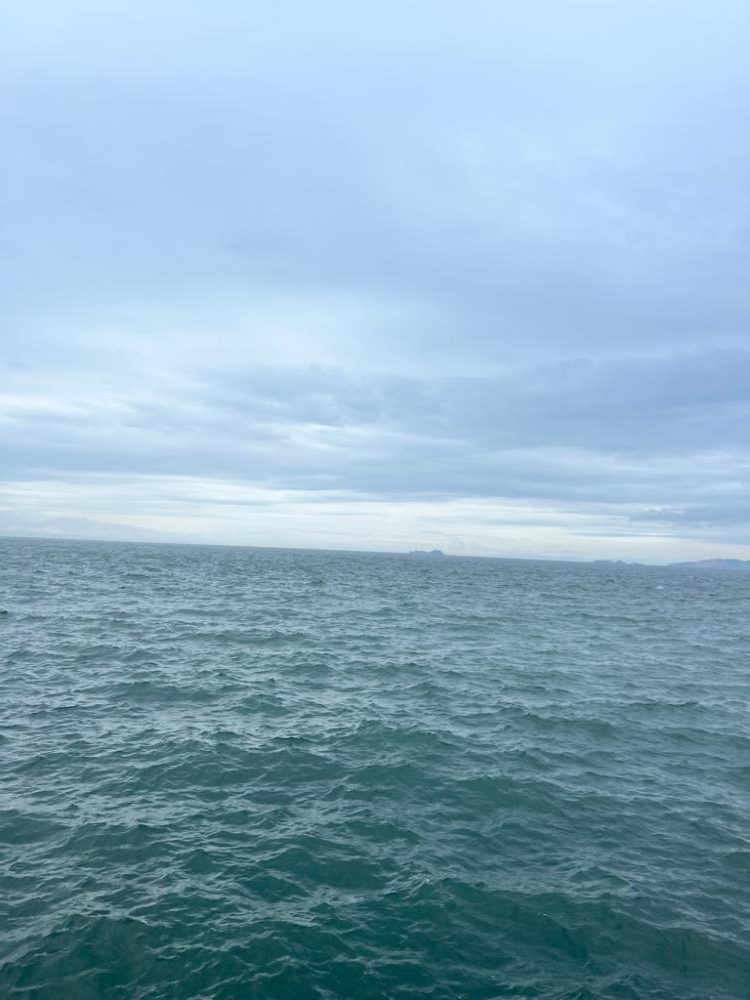 ライトなビッグゲーム