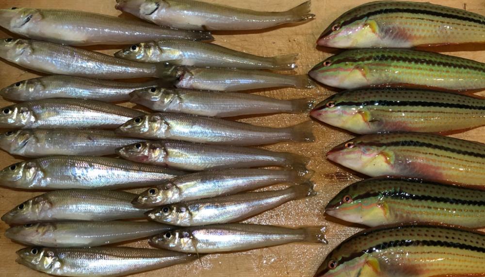 毎投当たりで楽しい過ぎ。